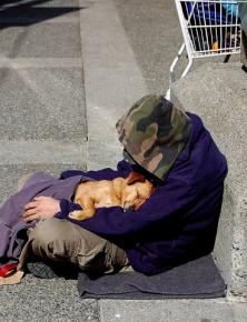 Half of homeless teens are LGBTQ